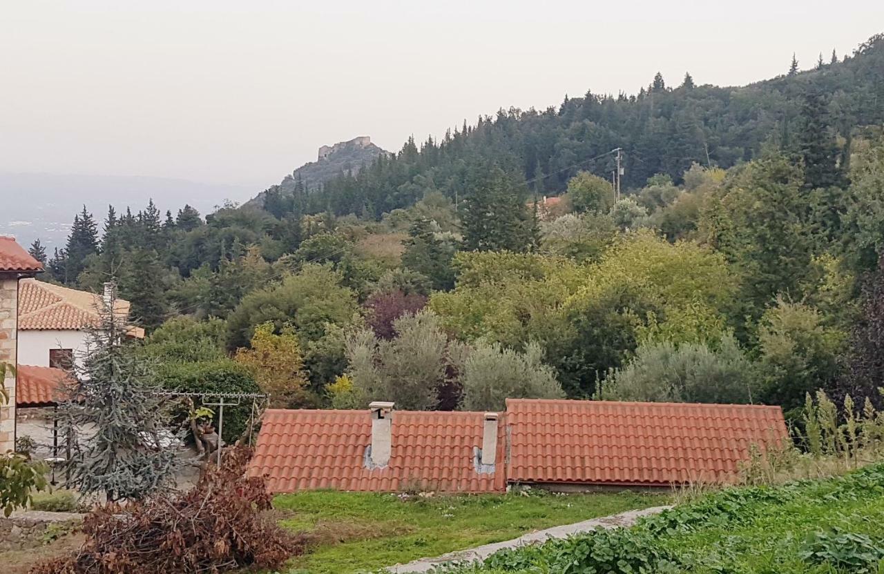 Luxury House In The Hills Guest House Sparta Exterior photo